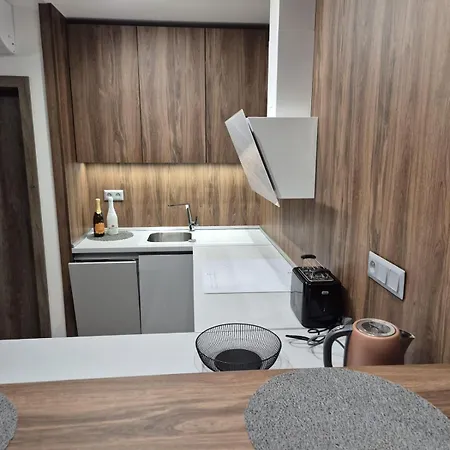 Apartmán, Private Garage With Free Parking *